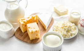 dairy products