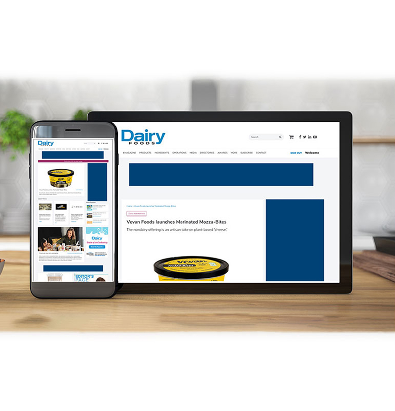 website advertising