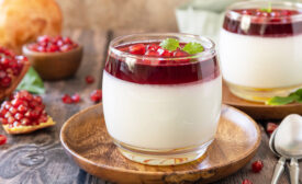 Spoonable Dairy Yogurt