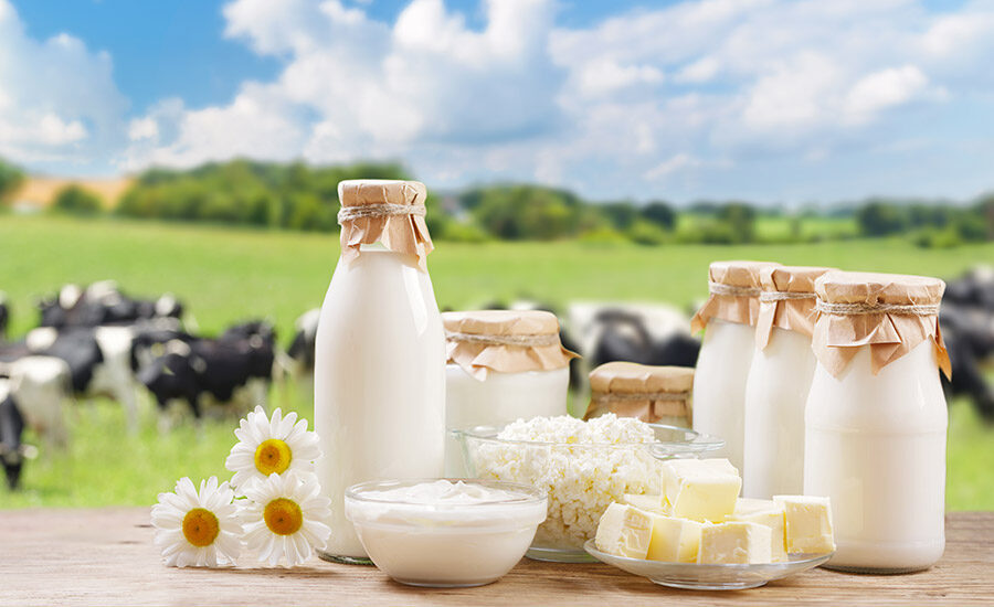 dairy products with cows in the background
