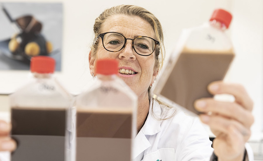 Suppliers are developing ingredients that enable processors to offer healthier alternatives.