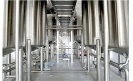 Verley fermentation dairy proteins