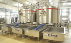mozzarella-making process